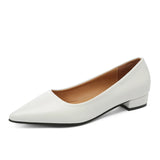 Xajzpa New Pointed Toe Shallow Mouth Square Heel Small Leather Shoes Women's Elegant Fashion High Heels Dress Shoes Zapatos Mujer