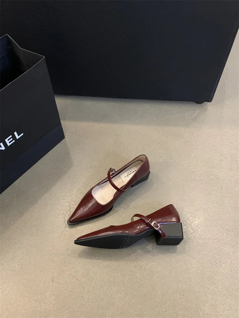 Xajzpa Retro Style Thick Heel Spring and Autumn Women Mary Jane Shoes Fashion Shallow Pointed Toe Ladies Comfort Office Pumps Footwear