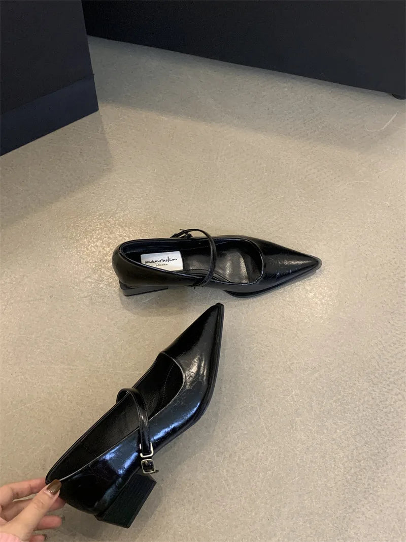 Xajzpa Retro Style Thick Heel Spring and Autumn Women Mary Jane Shoes Fashion Shallow Pointed Toe Ladies Comfort Office Pumps Footwear
