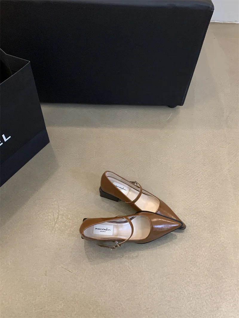 Xajzpa Retro Style Thick Heel Spring and Autumn Women Mary Jane Shoes Fashion Shallow Pointed Toe Ladies Comfort Office Pumps Footwear