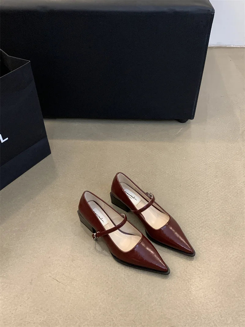 Xajzpa Retro Style Thick Heel Spring and Autumn Women Mary Jane Shoes Fashion Shallow Pointed Toe Ladies Comfort Office Pumps Footwear