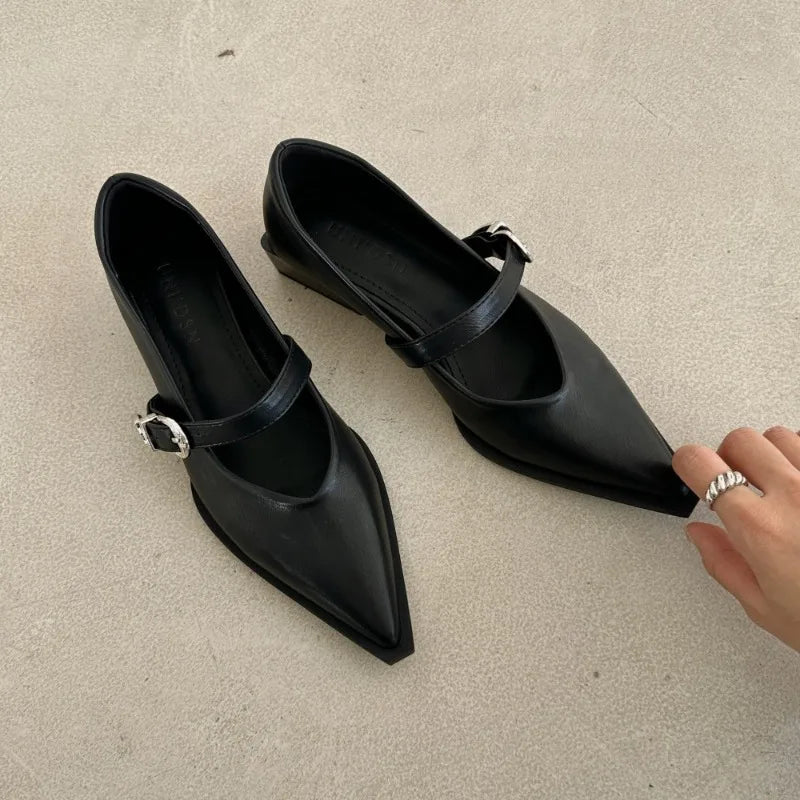 Xajzpa New Mary Jane Shoes Spring Autumn Pointed Toe Low Heel Women Shallow Single Pumps Women Fashion Buckle Shoes
