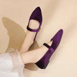 Xajzpa New Fashion Women's Pointed Toe Flat Shoes with Velvet Matte Finish Single Women Comfort Loafers Shoes Leather Mary Jane Shoes