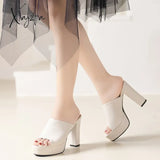 Slippers Women Super High Heel Platform Shoes Sandals Spring Summer 2024 Chunky Elegant Party